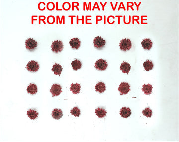 My Store NATURAL FLOWER MINI RED DRIED SUN FLOWER